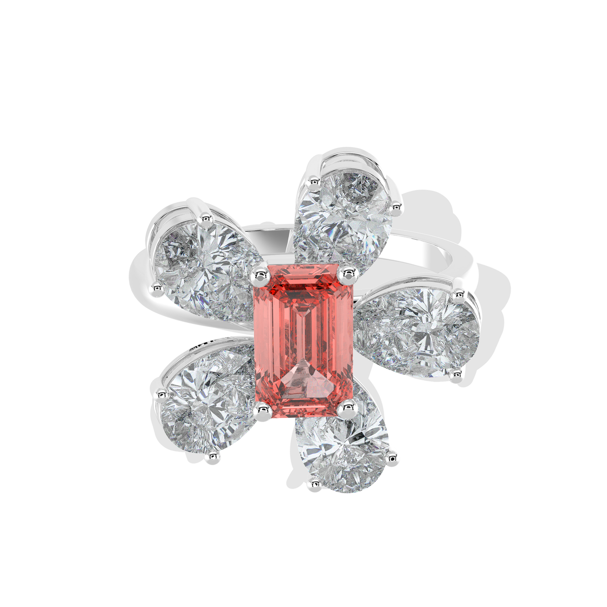 The Blush Bloom - Tiri